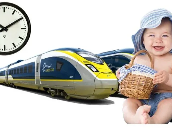 Un Renard Vol Un Passeport Tef Academie